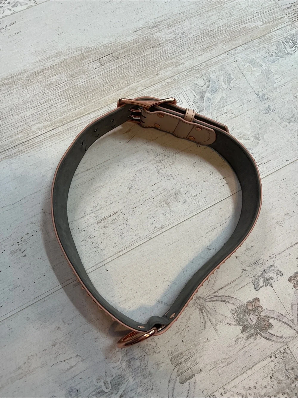 Petco Pink and Rose Gold Studded Dog Collar